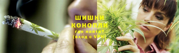 дмт Арсеньев