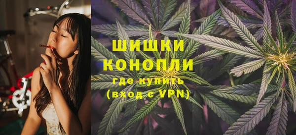 дмт Арсеньев