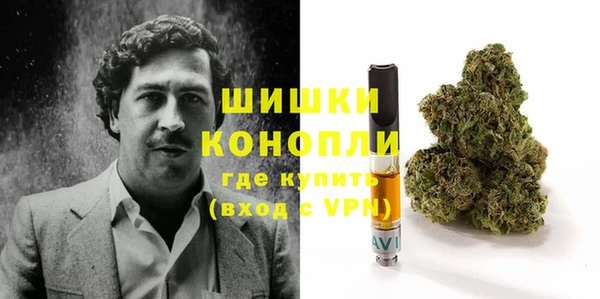 дмт Арсеньев